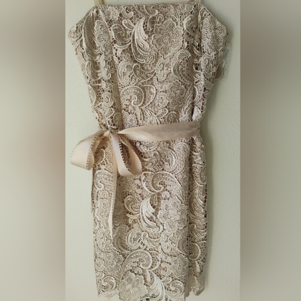 Adrianna Papell Strapless Lace Dress in Ivory